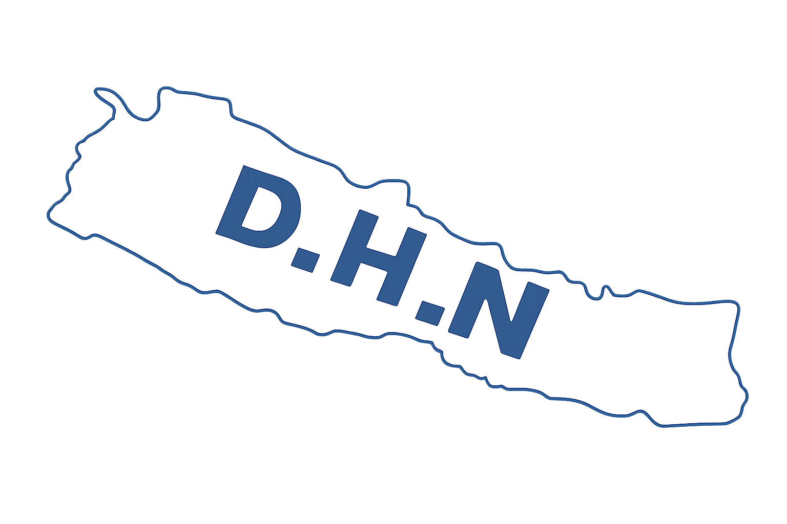 DHN Holding